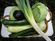 大平食品　野菜の栽培と加工